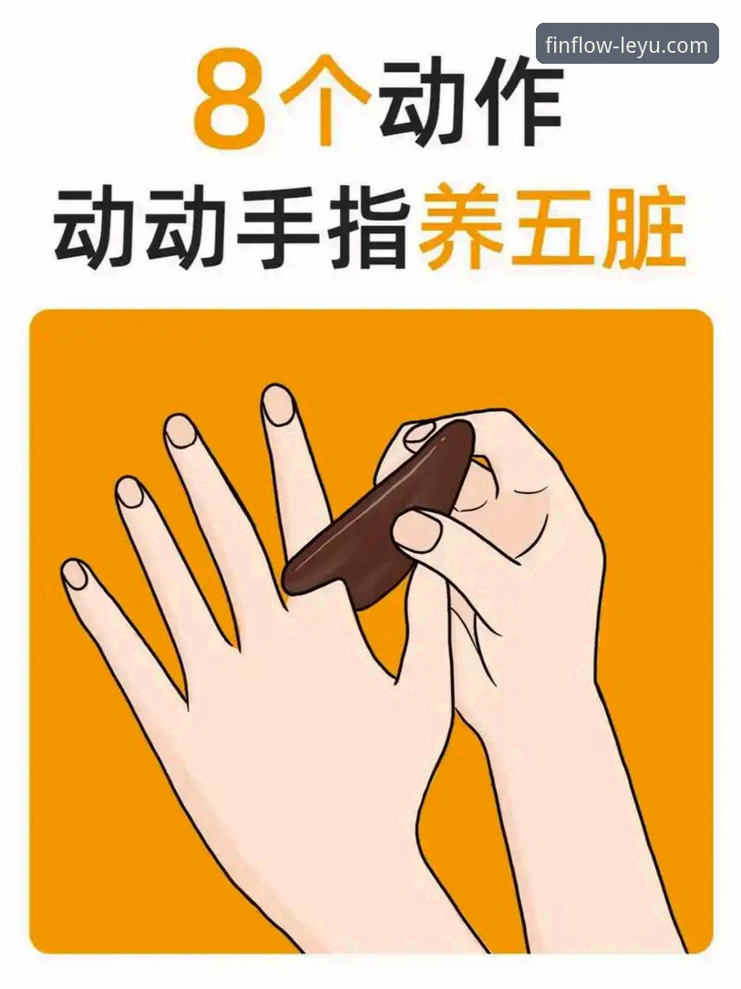 乐鱼体育推荐功能详解：新手轻松上手指南